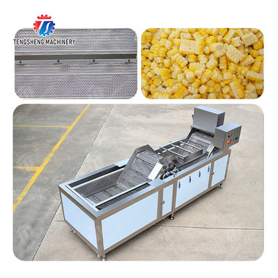 customized blanching machine Fruit Orange Vegetable Leaves Vegetables Carrots and longitudinal root vegetables Onions Leafy vegetables Cabbage varieties Herbs Fruiting vegetables Wash Washer Cleaning