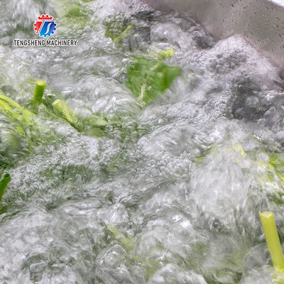 Vegetables bubblewashing machine Leaves Vegetables Onions Leafy vegetables Cabbage varieties Herbs Fruiting vegetables Wash Washer Washing Cleaning processing production