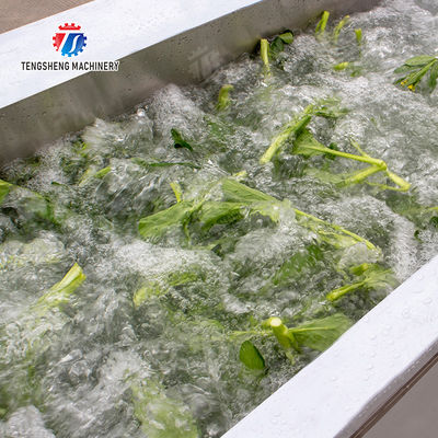 Vegetables bubblewashing machine Leaves Vegetables Onions Leafy vegetables Cabbage varieties Herbs Fruiting vegetables Wash Washer Washing Cleaning processing production