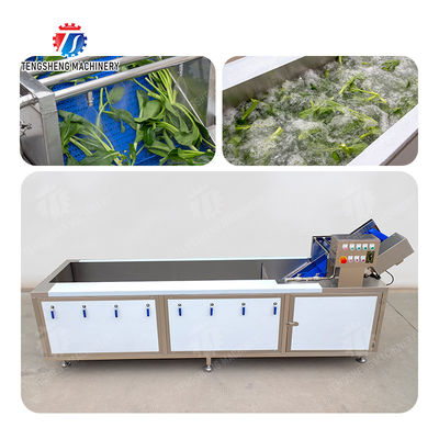 Vegetables bubblewashing machine Leaves Vegetables Onions Leafy vegetables Cabbage varieties Herbs Fruiting vegetables Wash Washer Washing Cleaning processing production
