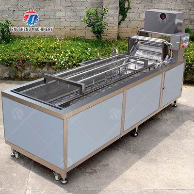 Leaves Vegetables Onions Leafy vegetables Cabbage varieties Herbs Fruiting vegetables Washing Cleaning processing production Bubble cleaningmachine spray type