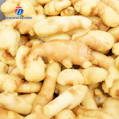 Leaves Vegetables Onions Leafy vegetables Cabbage varieties Herbs Fruiting vegetables Washing Cleaning processing production Bubble cleaningmachine spray type