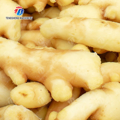 Leaves Vegetables Onions Leafy vegetables Cabbage varieties Herbs Fruiting vegetables Washing Cleaning processing production Bubble cleaningmachine spray type