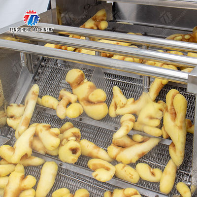 Leaves Vegetables Onions Leafy vegetables Cabbage varieties Herbs Fruiting vegetables Washing Cleaning processing production Bubble cleaningmachine spray type