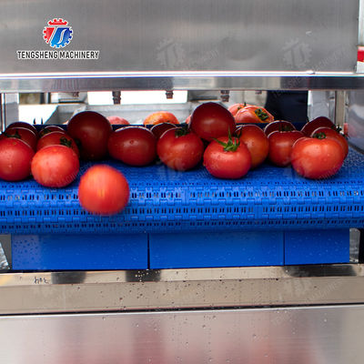 Leaves Leafy vegetables Cabbage varieties Herbs Fruiting vegetables Vegetables bubblewashing machine Wash Washer Washing Cleaning The dish washing machine