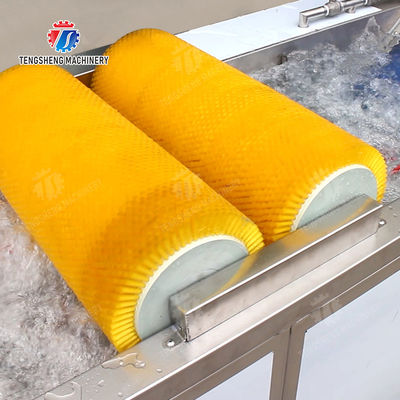 Wash Washer Washing Cleaning Brush bubble cleaning machine Carrots and longitudinal root vegetables Onions Leafy vegetables Cabbage varieties Herbs Fruiting vegetables