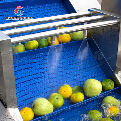 Wash Washer Washing Cleaning Brush bubble cleaning machine Carrots and longitudinal root vegetables Onions Leafy vegetables Cabbage varieties Herbs Fruiting vegetables