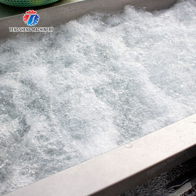 Wash Washer Washing Cleaning Brush bubble cleaning machine Carrots and longitudinal root vegetables Onions Leafy vegetables Cabbage varieties Herbs Fruiting vegetables