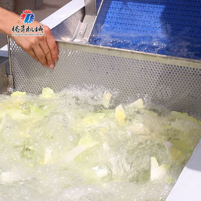 Vegetables Leaves Vegetables Onions Leafy vegetables Cabbage varieties Herbs Fruiting vegetables bubble washing machine