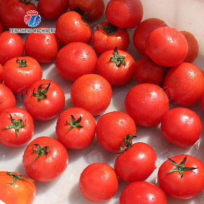 Wash Washer Washing Cleaning Fruit Orange Leaves Vegetables sward beans  soybeans  green beans  chickpeas beans  red beans  mung beans  Vegetables bubble washing processing production machine