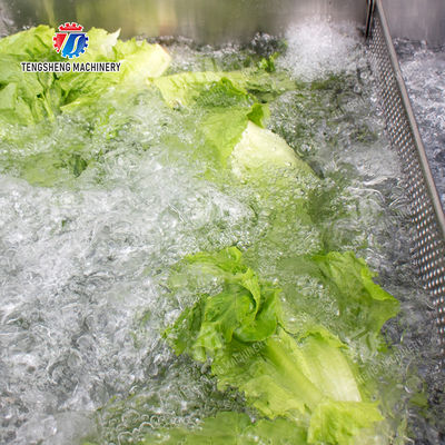 Wash Washer Washing Cleaning Fruit Orange Leaves Vegetables sward beans  soybeans  green beans  chickpeas beans  red beans  mung beans  Vegetables bubble washing processing production machine