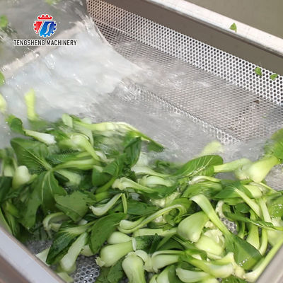 Vegetable Leaves Vegetables Leafy vegetables Cabbage varieties Herbs Fruiting vegetables Vortex washer Cleaning processing production Machine