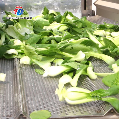 Vegetable Leaves Vegetables Leafy vegetables Cabbage varieties Herbs Fruiting vegetables Vortex washer Cleaning processing production Machine