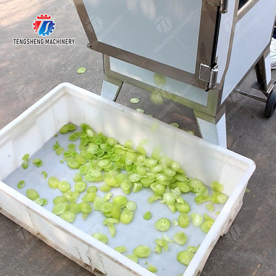 Oblique Slicer Vegetable and MEAT Cutting Beef Pork Chicken Lamb Potato Carrot radish Taro corn