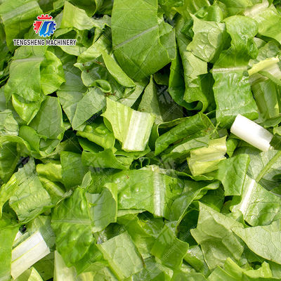 Double head vegetable cutting machine Onions Saiko persimmon papaya Potato Carrot okra Greens Lettuce Cao Xin Baby Cabbage Chinese Cabbage Cabbage Cutting