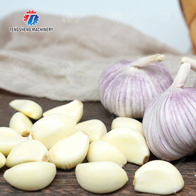 Garlic Peeling Machine garlic Destoning Peeling & polishing processing production