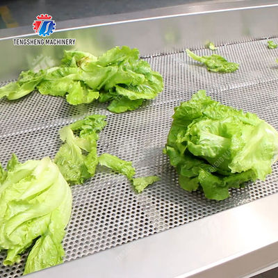 Fruit and Vegetable Draining Machine Fruit Vegetable Onions Herbs Saiko persimmon Carrot radish Cabbage Shiitake mushrooms Mushrooms Bamboo shoots Wash Cleaning Dryer Drying Ginger onion garlic