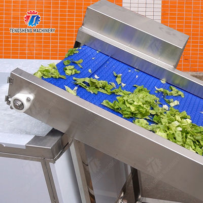 Fruit Orange Vegetable Onions horseshoe Ginger Potato Carrot radish Lettuce Baby Cabbage Chinese Cabbage Cabbage Hoisting machine Washing Dryer processing production line