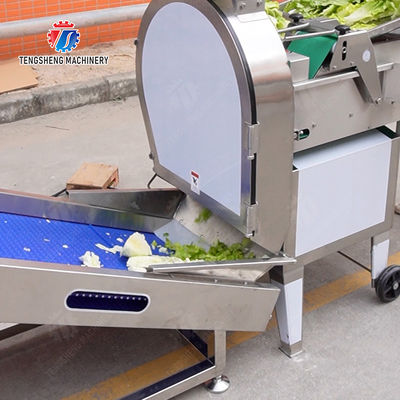 Fruit Orange Vegetable Onions horseshoe Ginger Potato Carrot radish Lettuce Baby Cabbage Chinese Cabbage Cabbage Hoisting machine Washing Dryer processing production line