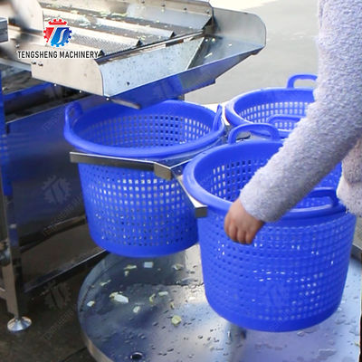 Potato Carrot Lettuce Mushrooms Bamboo shoots chili Spinach Passion Fruit tangerine Juice made from wild cherry plums Kiwi Mango Strawberry lemon kale Celery Material transfer rack