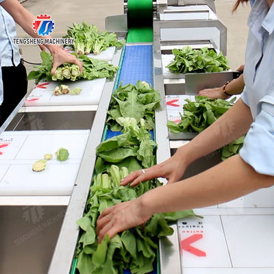 lemon cherry Passion Fruit Apple Potato Carrot radish Sweet potato okra Lettuce Chinese Cabbage Cabbage kiwi fruit orange chili Celery kale Selection Table