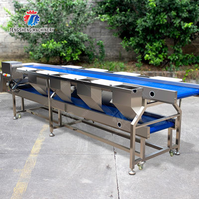 Selection Table  lemon cherry Passion Fruit Apple Potato Carrot radish Sweet potato okra Lettuce Chinese Cabbage Cabbage kiwi fruit orange chili Celery kale