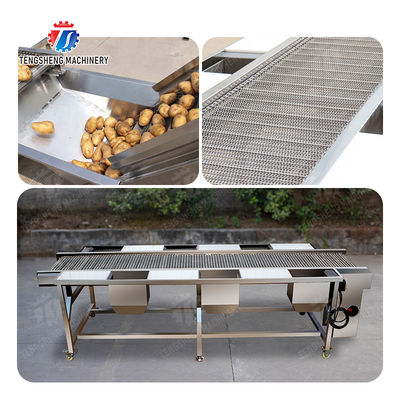 Potato Selection Table Ginger Carrot radish Celery kale lemon Saiko persimmon Fruit Orange Vegetable