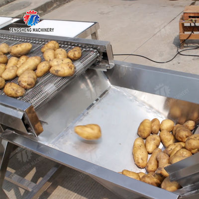 Potato Selection Table Ginger Carrot radish Celery kale lemon Saiko persimmon Fruit Orange Vegetable