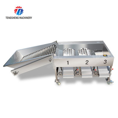 Apple Passion Fruit and vegetable sorting machine tangerine passion fruit avocado cherry Mango pear banana mangosteen kiwi fruit Fruit Orange Vegetable Lettuce Cabbage Celery kale Grading