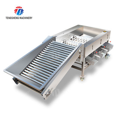 Apple Passion Fruit and vegetable sorting machine tangerine passion fruit avocado cherry Mango pear banana mangosteen kiwi fruit Fruit Orange Vegetable Lettuce Cabbage Celery kale Grading