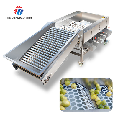 Macchina per la selezione di frutta e verdura: mela, frutto della passione, avocado, ciliegia, mango, pera, banana, mangostano, kiwi, arancia, verdura, lattuga, cavolo, sedano, cavolo riccio. Classificazione