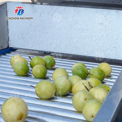 Apple Passion Fruit and vegetable sorting machine tangerine passion fruit avocado cherry Mango pear banana mangosteen kiwi fruit Fruit Orange Vegetable Lettuce Cabbage Celery kale Grading