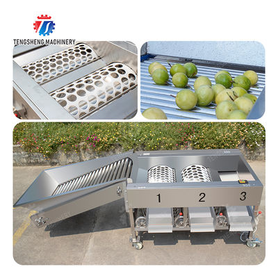 Apple Passion Fruit and vegetable sorting machine tangerine passion fruit avocado cherry Mango pear banana mangosteen kiwi fruit Fruit Orange Vegetable Lettuce Cabbage Celery kale Grading