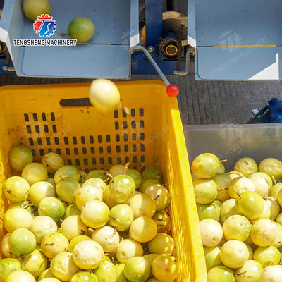 Apple Passion Fruit and vegetable sorting machine tangerine passion fruit avocado cherry Mango pear banana mangosteen kiwi fruit Fruit Orange Vegetable Lettuce Cabbage Celery kale Grading