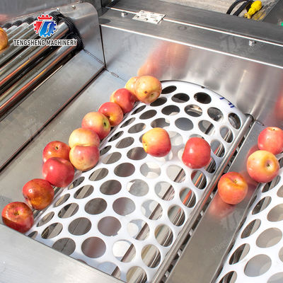 Apple Passion Fruit and vegetable sorting machine tangerine passion fruit avocado cherry Mango pear banana mangosteen kiwi fruit Fruit Orange Vegetable Lettuce Cabbage Celery kale Grading