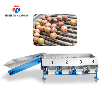 Mandarine frutta di passione avocado ciliegio mango pera banana mangostano kiwi frutta Ispezione Classificazione Trasporto produzione di trasformazione Macchine di smistamento di frutta e verdura