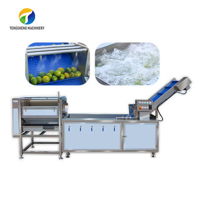 Il gambo dell'agrume ha eliminato il limone che elabora la spazzola industriale della bolla di aria del macchinario