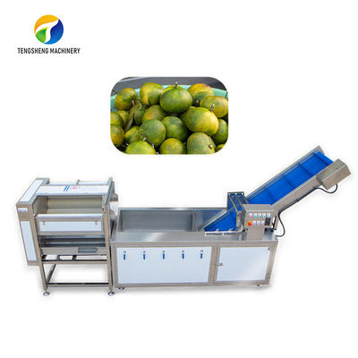 La polvere sfrega la linea di produzione della frutta di Sortment pulitura di verdure di controllo dell'ananas della bolla