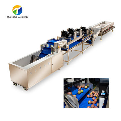 Linea di trasformazione di spruzzatura ad alta tensione degradazione residua industriale della frutta e di verdura di Tengsheng