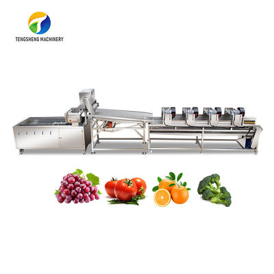 Linea di trasformazione vibrazione della frutta 4.5KW e di verdura che vuota attrezzatura