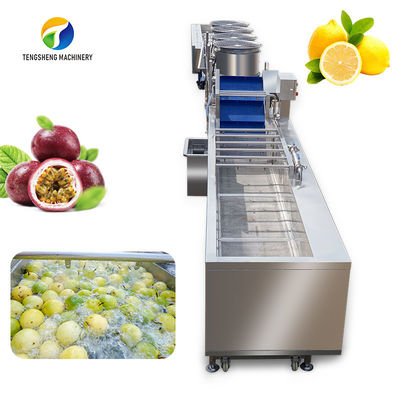 linea di trasformazione classificazione di secchezza di pulizia completamente automatica della frutta 380V e di verdura