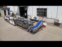 Porta la tua linea di lavorazione di frutta e verdura al livello successivo con la spazzolatrice parallela TS-M100